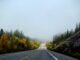 picture of a highway with evergreens and other trees with autumn leaves to the left and right