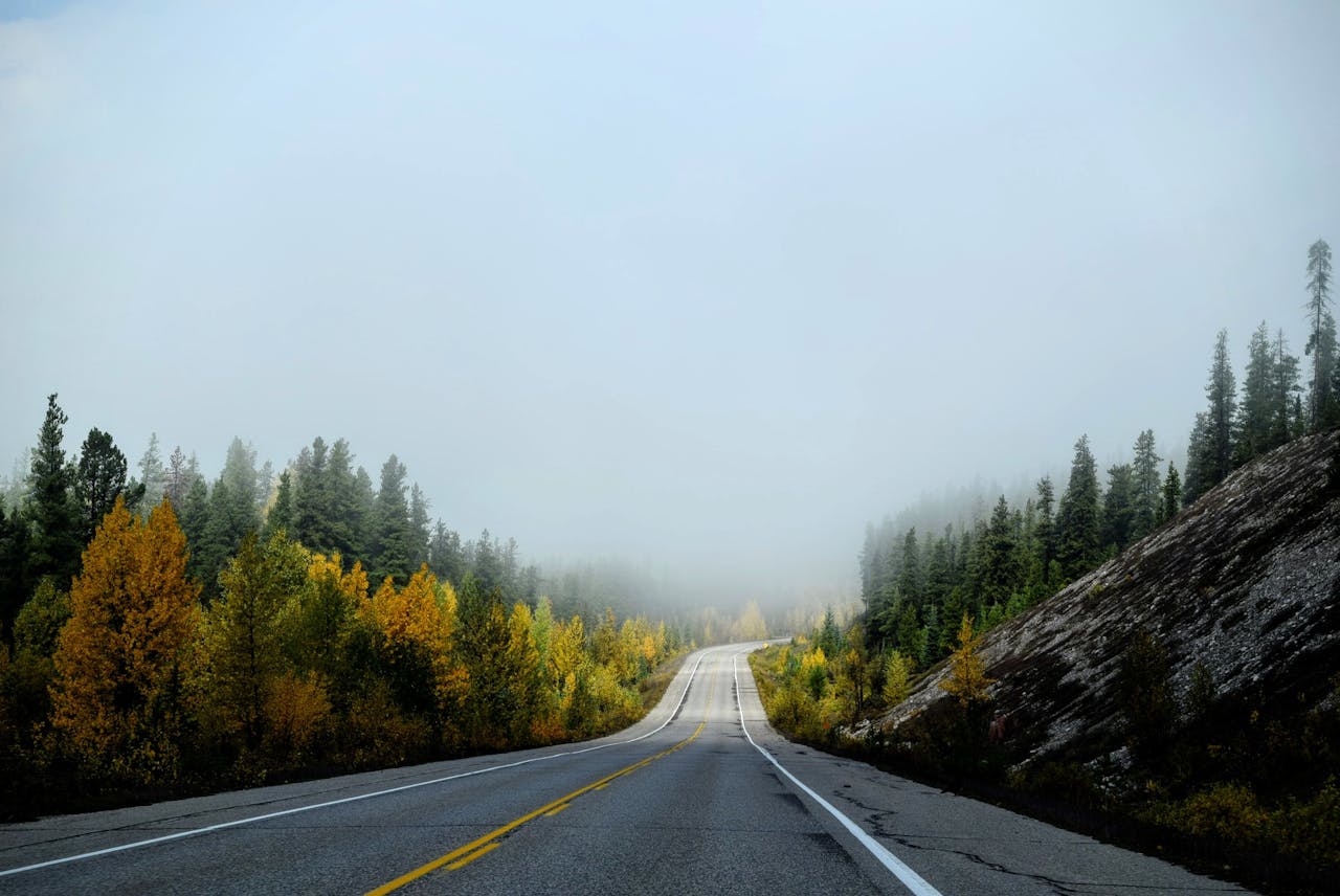 picture of a highway with evergreens and other trees with autumn leaves to the left and right