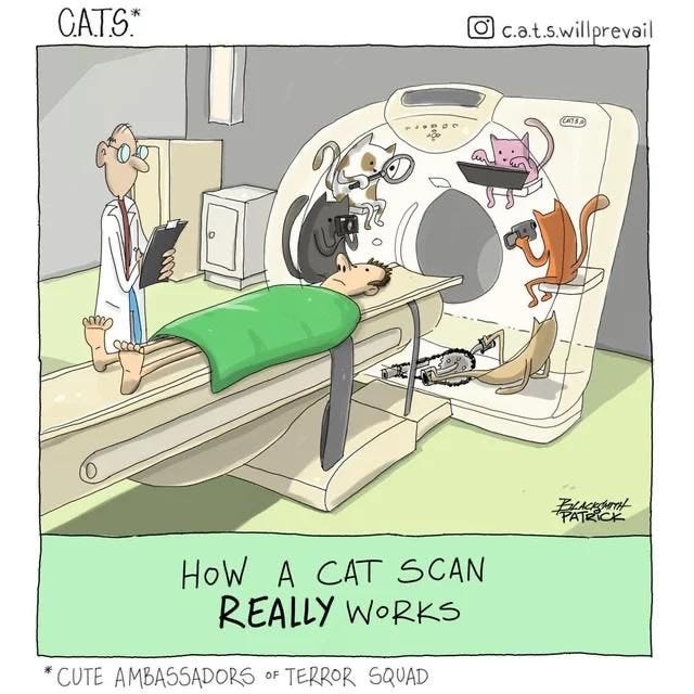 cartoon of a patient about to get a cat scan and the machine is covered in cats. The caption says "How ca cat scan really works"