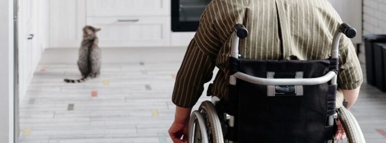 stock image of a cat and a person in a wheelchair in a kitchen