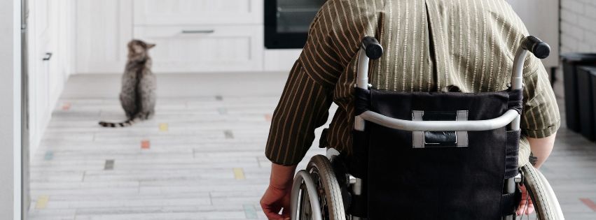 stock image of a cat and a person in a wheelchair in a kitchen