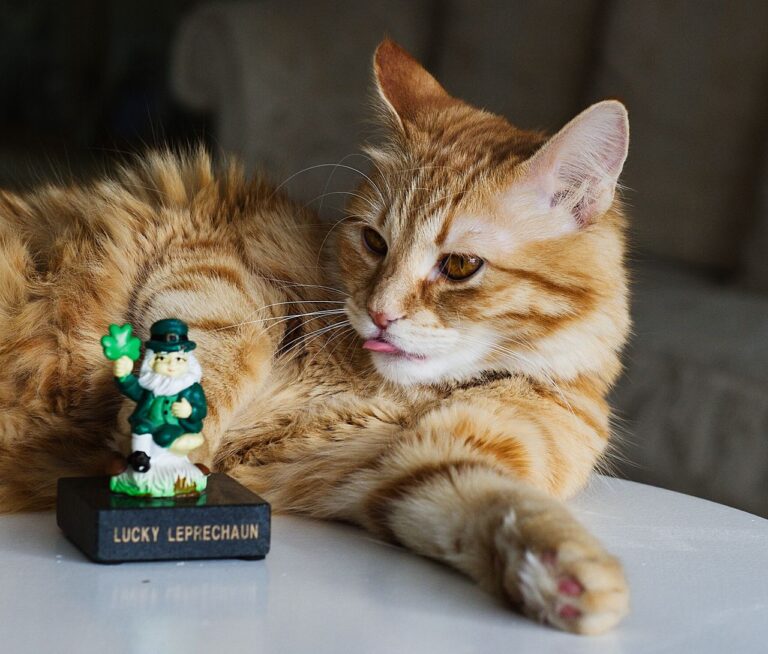 an orange cat is reclining with it's tongue sticking out while looking at a little green leprechaun statue that says lucky